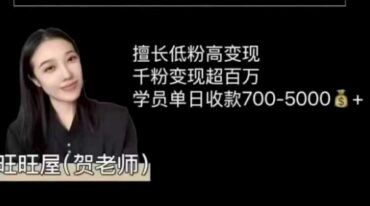 旺旺屋第七期玄学海外账号搭建