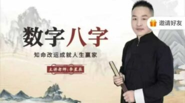 李星辰 数字八字37集视频课