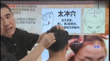 张振虎道医秘传奇针刺络精品网课【原版】
