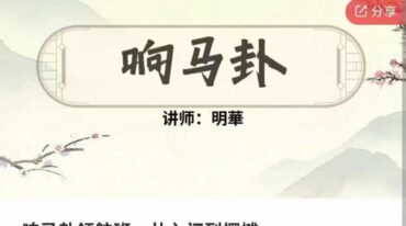 响马卦领航班 从入门到摆摊