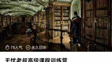 无忧老叔 紫微斗数基础+高级