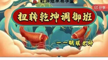 数字易经 扭转乾坤调御班40集
