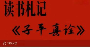 陈叫兽子平真诠81集