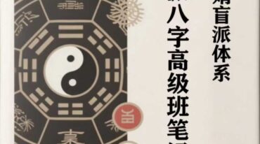 杨清娟盲派体系八字 盲派八字高级班笔记 364页