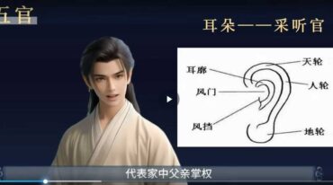 坤小坤面相识人术基础课程14集