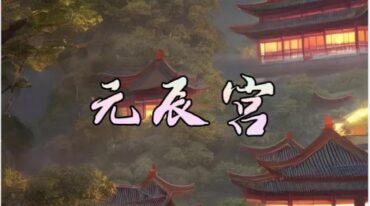 蔡婉云元辰宫初中级音频课