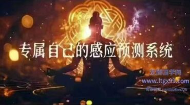 打造专属自己的感应预测系统