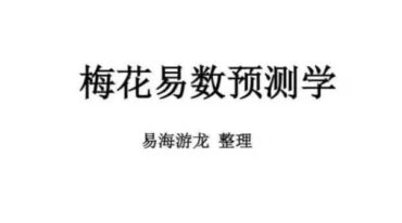 易海游龙 梅花易数预测学