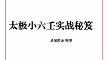 易海游龙 太极小六壬实战秘笈.pdf