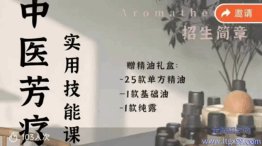 中医芳疗技能课 郝快快