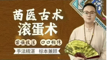 苗家滚蛋术19集