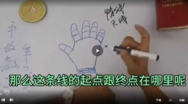 天龙易学零基础看手相31集