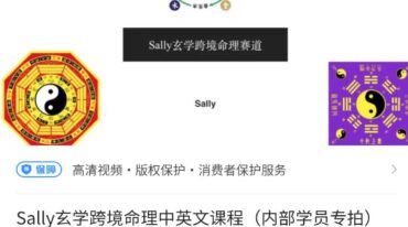 Sally玄学跨境命理中英文课程