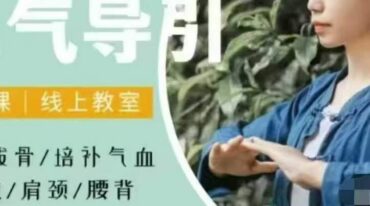 元气导引 形神筑基精讲 一 10月24集视频