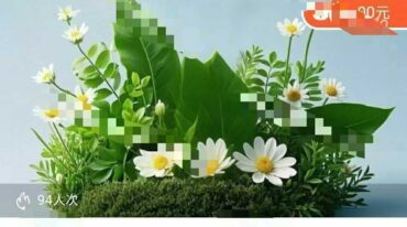 玄玑道家音药疗愈视频音频课
