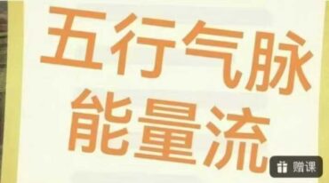 五行气脉能量流 王欣