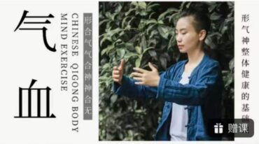 深入改善气血 理论+练习 施莹施元之 10集