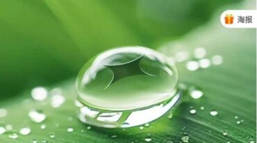 莲华藏孙思邈药王水 观音水等四种水法.pdf