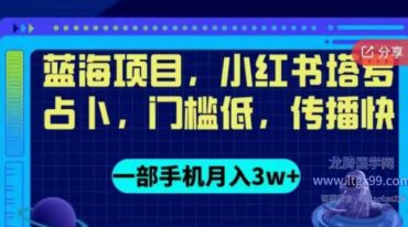 蓝海项目 塔罗小红书运营5集