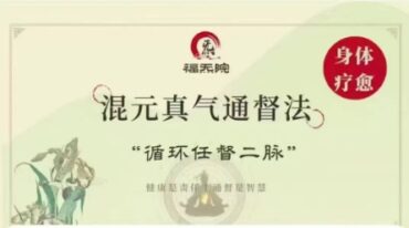 混元真气通督法8集
