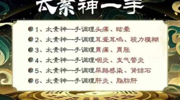 青城山道医 太素神一手
