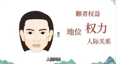 程驿老师 快速成交的面相识人课 13集视频
