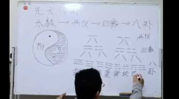 手机号码测健康5集