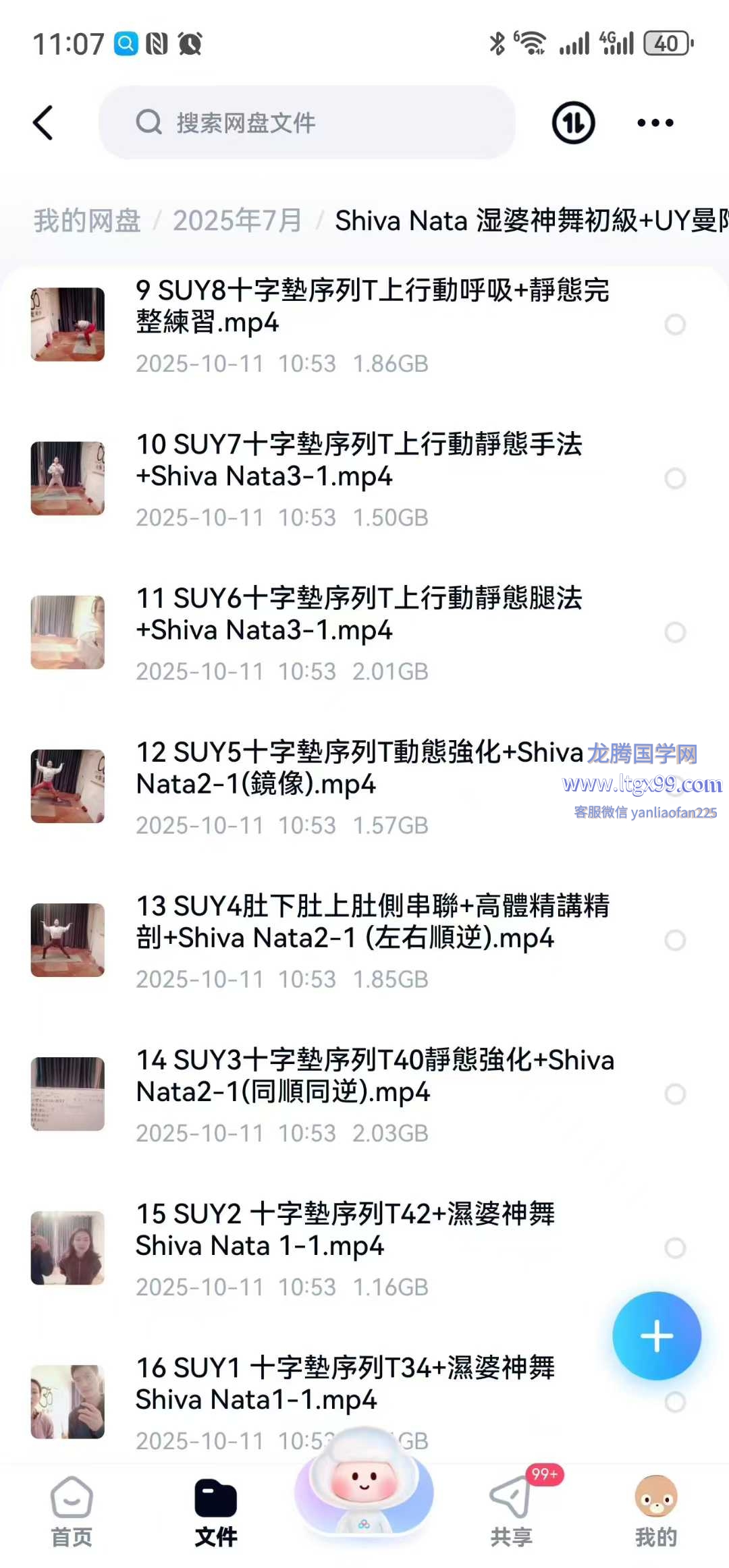 Shiva Nata 湿婆神舞初級+UY曼陀羅十字墊全維度深層全面提升序列&邏輯