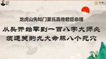 夏光明老师 从头开始零到一百八字大师必须通关的九大命脉八个死穴 245页pdf