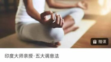 印度大师亲授 五大调息法6集 视频