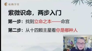 罗镇老师紫微斗数与人生心法通识课14集视频