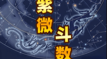 依婷紫微弟子班4月6月2025 12节