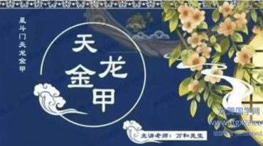 万和星斗门天龙金甲