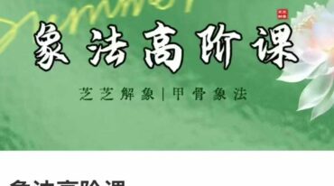 芝芝象法高阶课8集视频