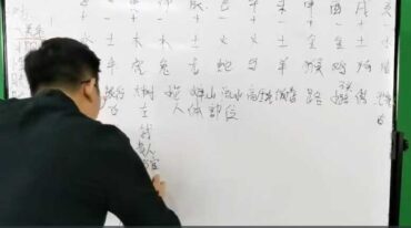 张瑞依 生命八字密码密训班 八字直断法视频9集