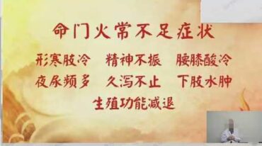 王哲 丹道周天通关术12集