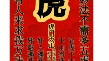 虎门天正法电子版合集