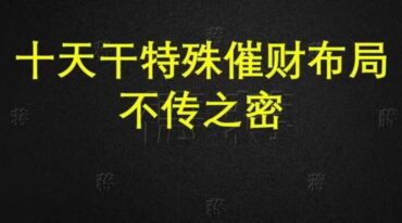 德蒋老师 十天干催财特殊布局不传秘法34页