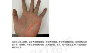 明灯手相教程第二期