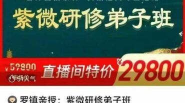 罗镇亲授 紫微研修弟子班 线上模块