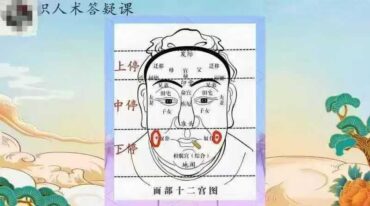 梓源居书苑 面相识人24集