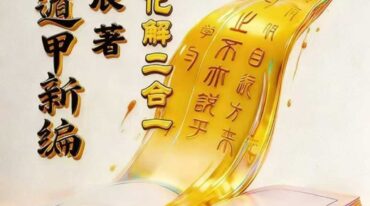 子辰 奇门遁甲新编 预测化解二合一