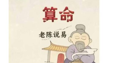 老陈说易卦例求真.