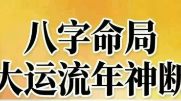 王国亮 八字命局大运流年神断 富贵天干定 342页