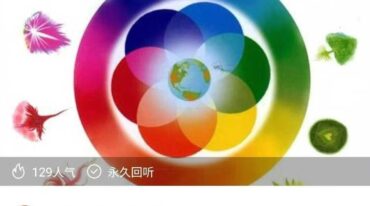 袁俊 神奇的手机号码解析术 音频