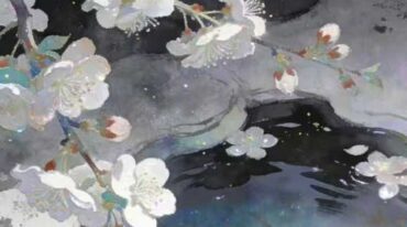 清水小教 视频+课件