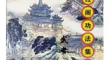 藏经阁功法集锦
