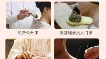 中医专业提升课