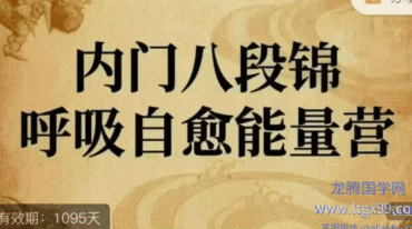 古法内门八段锦呼吸自愈能量营视频