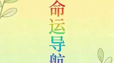 黄小梅 命运导航 256页